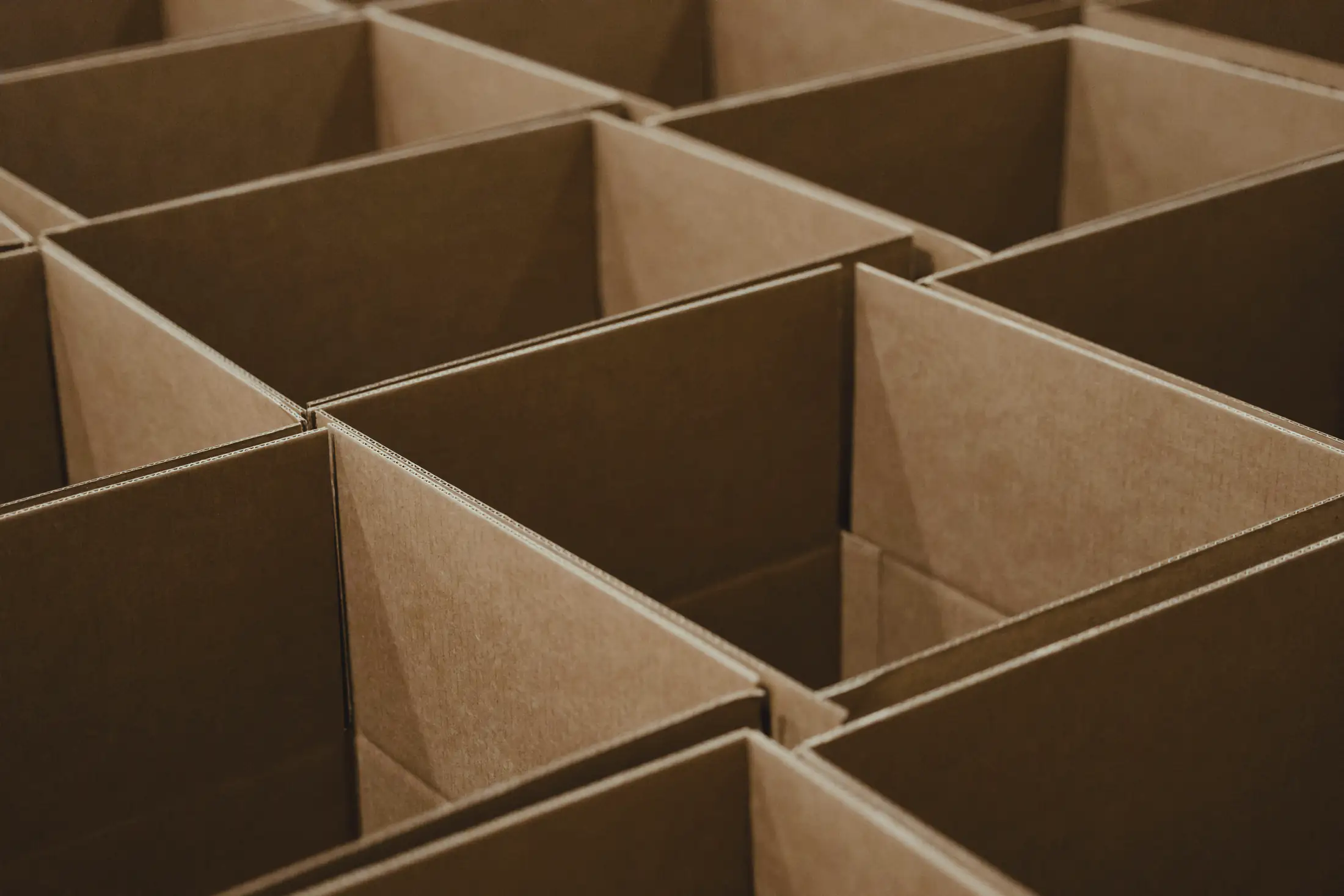 Rows of empty open cardboard cartons, close up