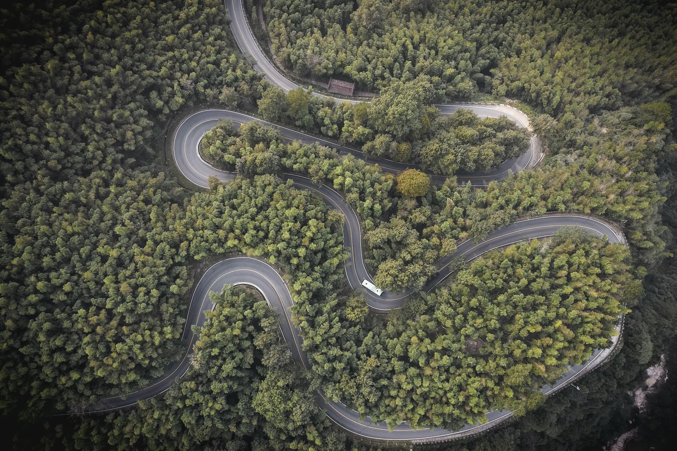 A switchback road through a forest, seen from above
